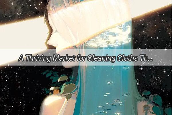 A Thriving Market for Cleaning Cloths The Enigmatic Dream of a Nations Obsession